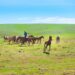 Places to Visit in Mongolia
