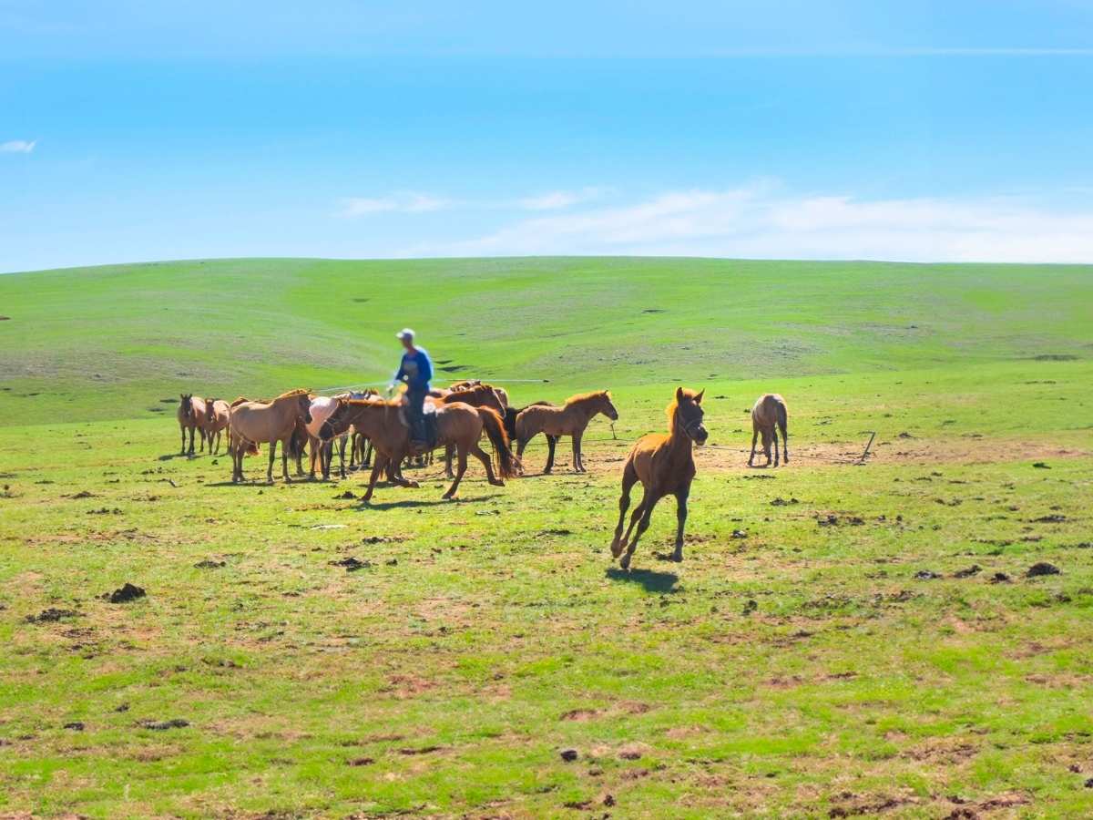 The Most Interesting Places to Visit in Mongolia Right Now