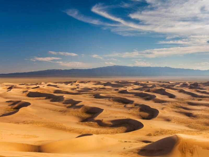Gobi Desert