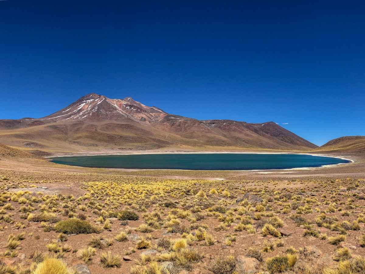 Lagunas Miscanti and Miñiques